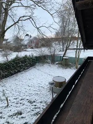 Maya im Winter