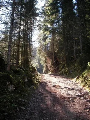 Naturlandschaft in der Nähe der Pension