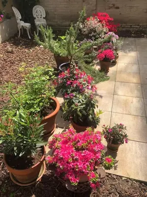 Ein Garten an der Unterkunft Gartenwohnung in Haidhausen