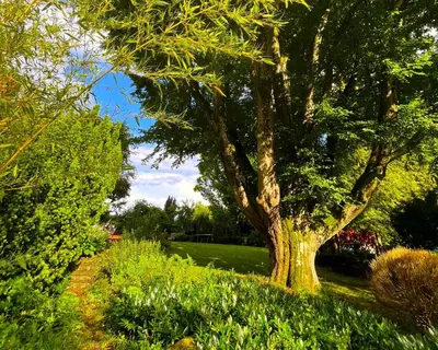 Ein Garten an der Unterkunft Atelier Seeshaupt