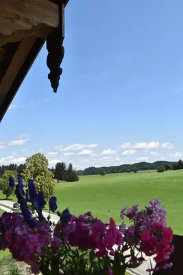 Ein Garten an der Unterkunft Ferienwohnung beim Hainz
