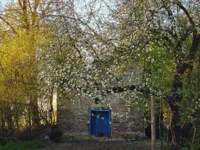 Ein Garten an der Unterkunft Nusseckerl Eberloh