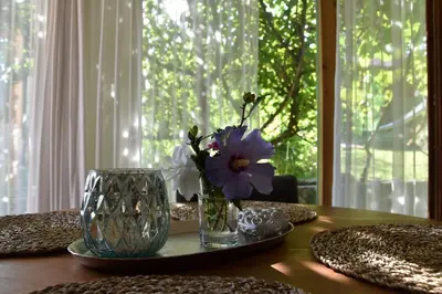Ein Garten an der Unterkunft Inselglück auf der Fraueninsel
