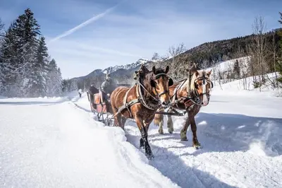 Lamprechthof im Winter