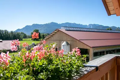 Ein allgemeiner Bergblick oder ein Berglick von der Ferienwohnung aus