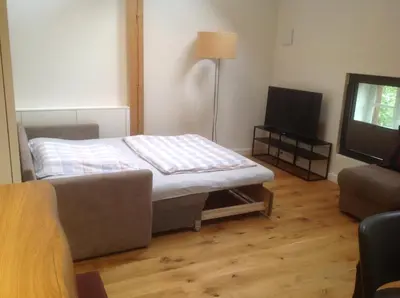 TV/Unterhaltungsangebot in der Unterkunft Landloft Haus Probst