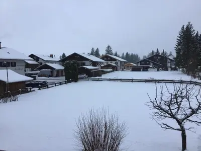 Edelweiß Herz im Winter