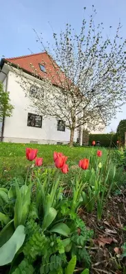 Ein Garten an der Unterkunft Allgäu Retreat
