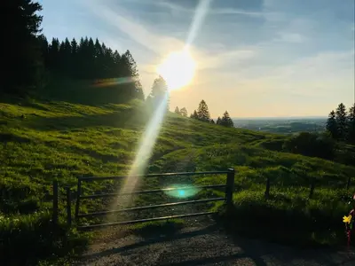 Naturlandschaft in der Nähe des Ferienhauses