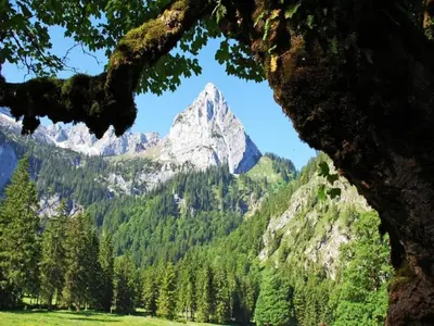 Naturlandschaft in der Nähe der Ferienwohnung