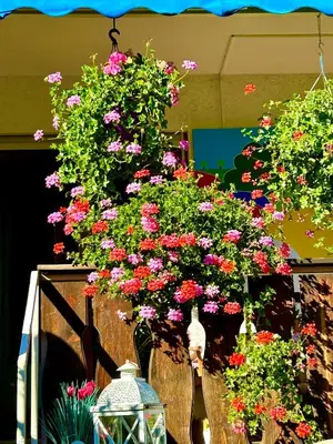 Ein Garten an der Unterkunft Privatzimmer Hanna