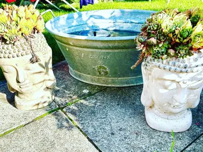 Ein Garten an der Unterkunft Privatzimmer Hanna