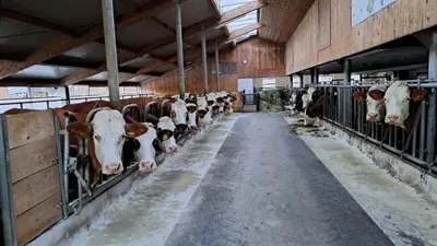 Grundriss der Unterkunft Schusterhof