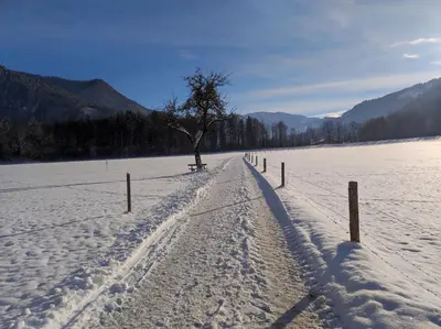 Ferienwohnungen Rohnbogner im Winter