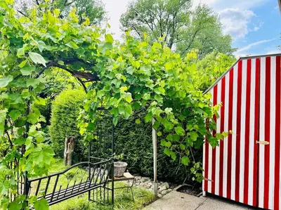 Ein Garten an der Unterkunft Chiemsee-Hafen_Gemütliche Wohnung am Chiemsee