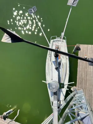 Blick auf einen Fluss in der Nähe des Bootes