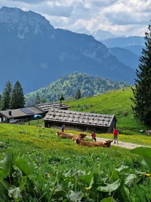 Naturlandschaft in der Nähe der Ferienwohnung