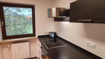 Küche/Küchenzeile in der Unterkunft Lechbruck am See Zentral nahe Bootshafen Apartment Wellmann