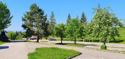 Naturlandschaft in der Nähe des Ferienhauses