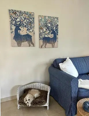 Ein Sitzbereich in der Unterkunft Ferienwohnung IDA