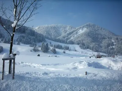 Ferienwohnung Oswald im Winter