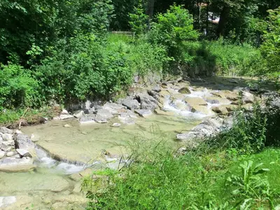 Naturlandschaft in der Nähe der Ferienwohnung