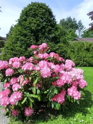 Ein Garten an der Unterkunft Ferienwohnung Rudhart