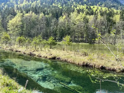 Naturlandschaft in der Nähe des Ferienhauses