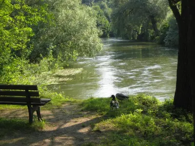 Naturlandschaft in der Nähe der Ferienwohnung