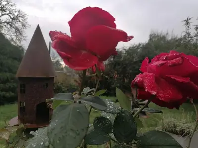 Ein Garten an der Unterkunft 10 min nach Augsburg - Apartment mit Extra-Eingang