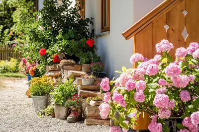 Ein Garten an der Unterkunft Beim Paulfischer