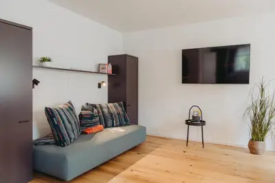 TV/Unterhaltungsangebot in der Unterkunft Ferienhaus Goldstück im Allgäu