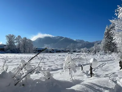 Juifen im Winter