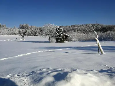 Ferienwohnung Niederbuchner im Winter