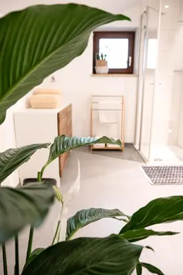 Ein Badezimmer in der Unterkunft Pura Apartments