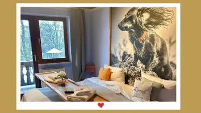 Ein Sitzbereich in der Unterkunft Berghupferl-Alm mit Wellnessoase im Garten