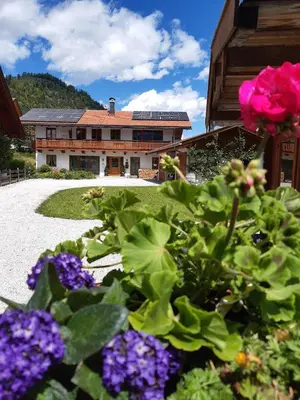 Ein allgemeiner Bergblick oder ein Berglick von der Ferienwohnung aus