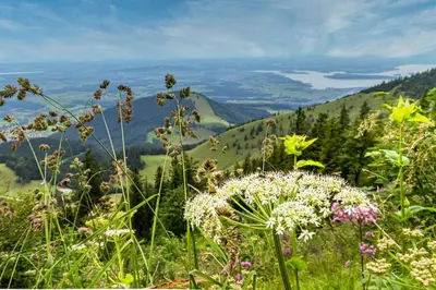 Naturlandschaft in der Nähe der Ferienwohnung