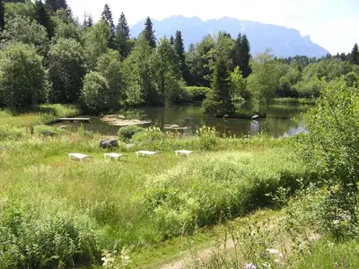 Naturlandschaft in der Nähe der Ferienwohnung