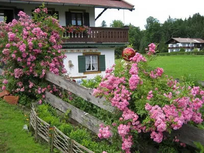 Grundriss der Unterkunft Amazing apartment in Lenggries