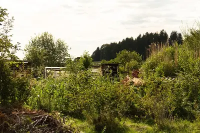 Naturlandschaft in der Nähe der Ferienwohnung