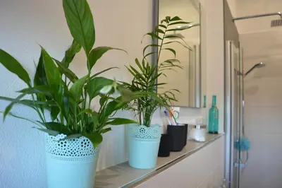 Ein Badezimmer in der Unterkunft Allgäu Loft Bergzeit