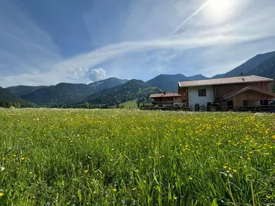 Naturlandschaft in der Nähe der Ferienwohnung