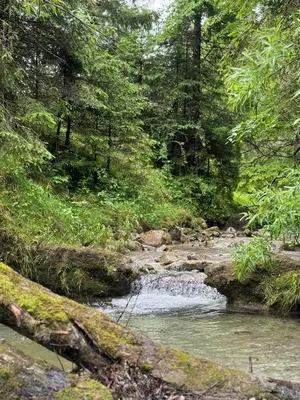 Naturlandschaft in der Nähe der Ferienwohnung