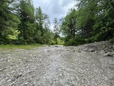 Naturlandschaft in der Nähe der Ferienwohnung
