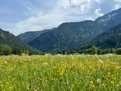 Naturlandschaft in der Nähe der Ferienwohnung