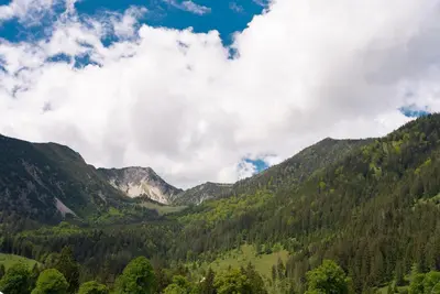Naturlandschaft in der Nähe des Ferienhauses