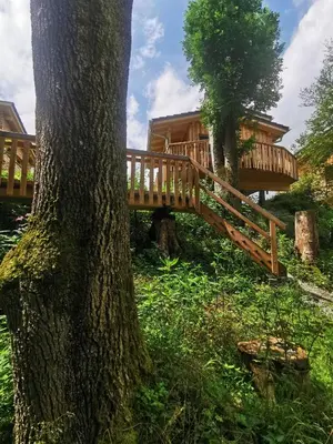 Ein Garten an der Unterkunft Wald ist Zukunft