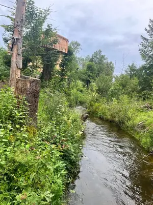 Naturlandschaft in der Nähe des Ferienparks