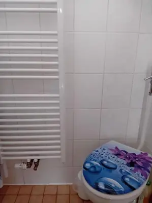 Ein Badezimmer in der Unterkunft Ferienwohnung Luftkurort-Alpenparadies